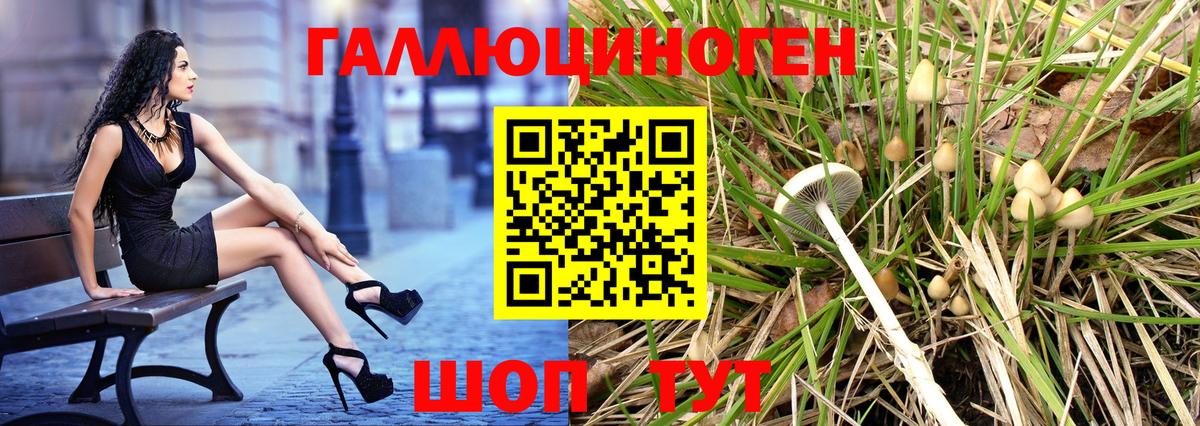 купить  цена  Вход с VPN  Коркино  Псилоцибиновые грибы прущие грибы 